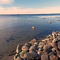 На берегу Таллинского залива :: Veera V