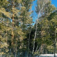 Зимний день :: Георгиевич 