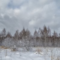 Про снежный апрель :: Сергей Цветков Про снежный апрель :: Сергей Цветков