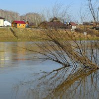 Иня в апреле :: Татьяна Лютаева