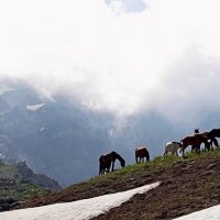 ПРОГУЛКА НА БОЛЬШОЙ ЧИМГАН - 2. :: Виктор Осипчук