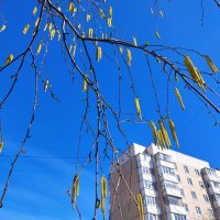 ... :: Сергей Тимоновский