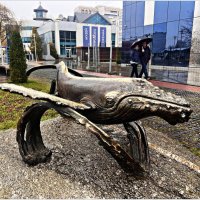 Новый экспонат Музея Мирового океана. Кит. :: Валерия Комова