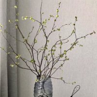 Весна) :: Альбина 