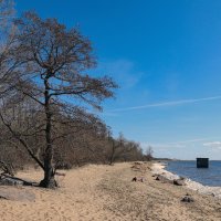 Западный Котлин :: skijumper Иванов Западный Котлин :: skijumper Иванов