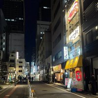 Апрельский вечер в Токио :: Елена 