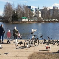 Пулковский парк :: Наталья Герасимова