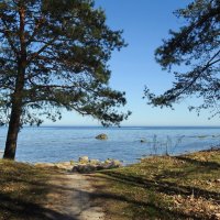 вксна :: ИННА ПОРОХОВА вксна :: ИННА ПОРОХОВА