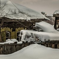 Снег и кот :: SanSan 