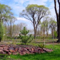 Середина Весны :: Сеня Белгородский Середина Весны :: Сеня Белгородский