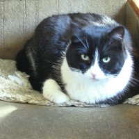 Я отдыхаю :: Людмила Смородинская