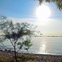 Утро :: Oleg4618 Шутченко