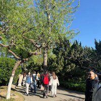 Весна в Китае :: Ирэн 