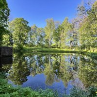 Ясная Поляна :: Александр Конов