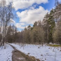 Палитра апреля... :: Владимир Жданов