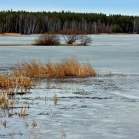 Апрель :: Нэля Лысенко