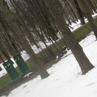 Весна пришла! :: Дмитрий Никитин