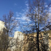 Здравствуй, утро! Ты - прекрасно. :: Галина 