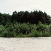 Дачные ландшафты :: Джованни Луче