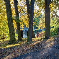 Чудесного осеннего дня вам в ленту! :: Лилия *