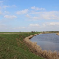 **** :: Виктор 