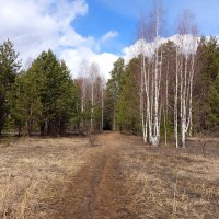 Апрель. :: Алена 