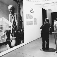 Инь и янь.. :: Elena Ророva