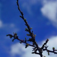 Какое небо голубое! :: Юрий Гайворонскiий