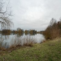 В январе... :: Николай Гирш