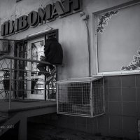 Любитель пива :: Александр Синдерёв