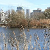 Вербное воскресенье :: Наталья Герасимова