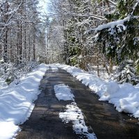 И в апреле бывает снегопад. :: Милешкин Владимир Алексеевич 