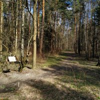 Мои апрельские тезисы :: Андрей Лукьянов