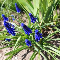 ... :: Сергей Тимоновский