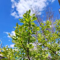 ... :: Сергей Тимоновский