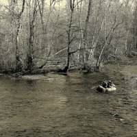 Весенний сезон открыт... :: Aleksandr Gal Весенний сезон открыт... :: Aleksandr Gal