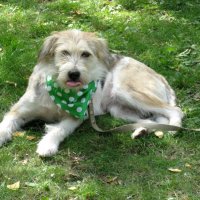 Модник :: Надежда Модник :: Надежда