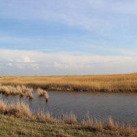 **** :: Виктор 