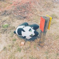 Детский аттракцион. :: Игорь Солдаткин