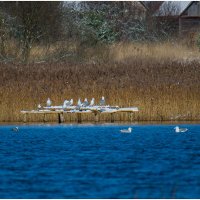 На отдыхе... :: Sergey (Apg) На отдыхе... :: Sergey (Apg)