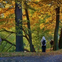 Осень на Елагином раскинула золотые шатры. :: Лилия * Осень на Елагином раскинула золотые шатры. :: Лилия *