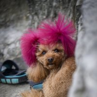 такая вот леди... :: Осень такая вот леди... :: Осень