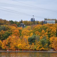 Осень :: Александр Конов