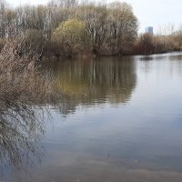 Пулковский парк :: Наталья Герасимова