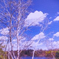 В солнечный денёк :: Людмила Смородинская