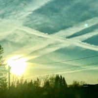 Не экологично…наверное) но красиво) :: Альбина 