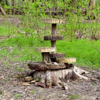 Кормушка :: Сеня Белгородский Кормушка :: Сеня Белгородский