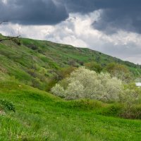 Апрель :: Игорь Сикорский Апрель :: Игорь Сикорский