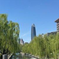 Весна в Китае :: Ирэн 