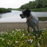 Лето :: Anna Ivanova Лето :: Anna Ivanova